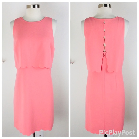 LOFT Dresses & Skirts - LOFT Ann Taylor Beautiful Scallop Dress Size (8)
